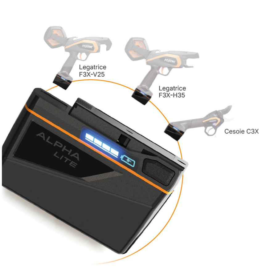 Batteria e schema